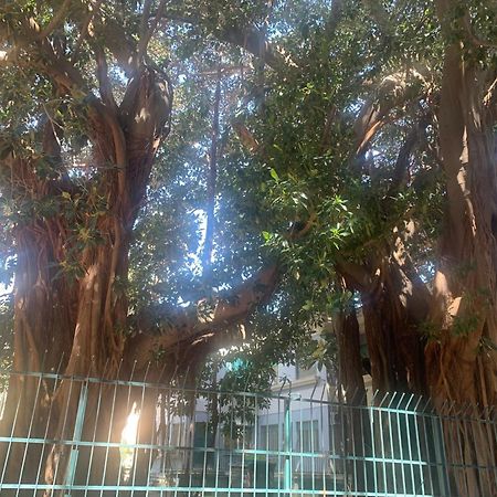 Apartament Casa Raccuglia Palermo Zewnętrze zdjęcie
