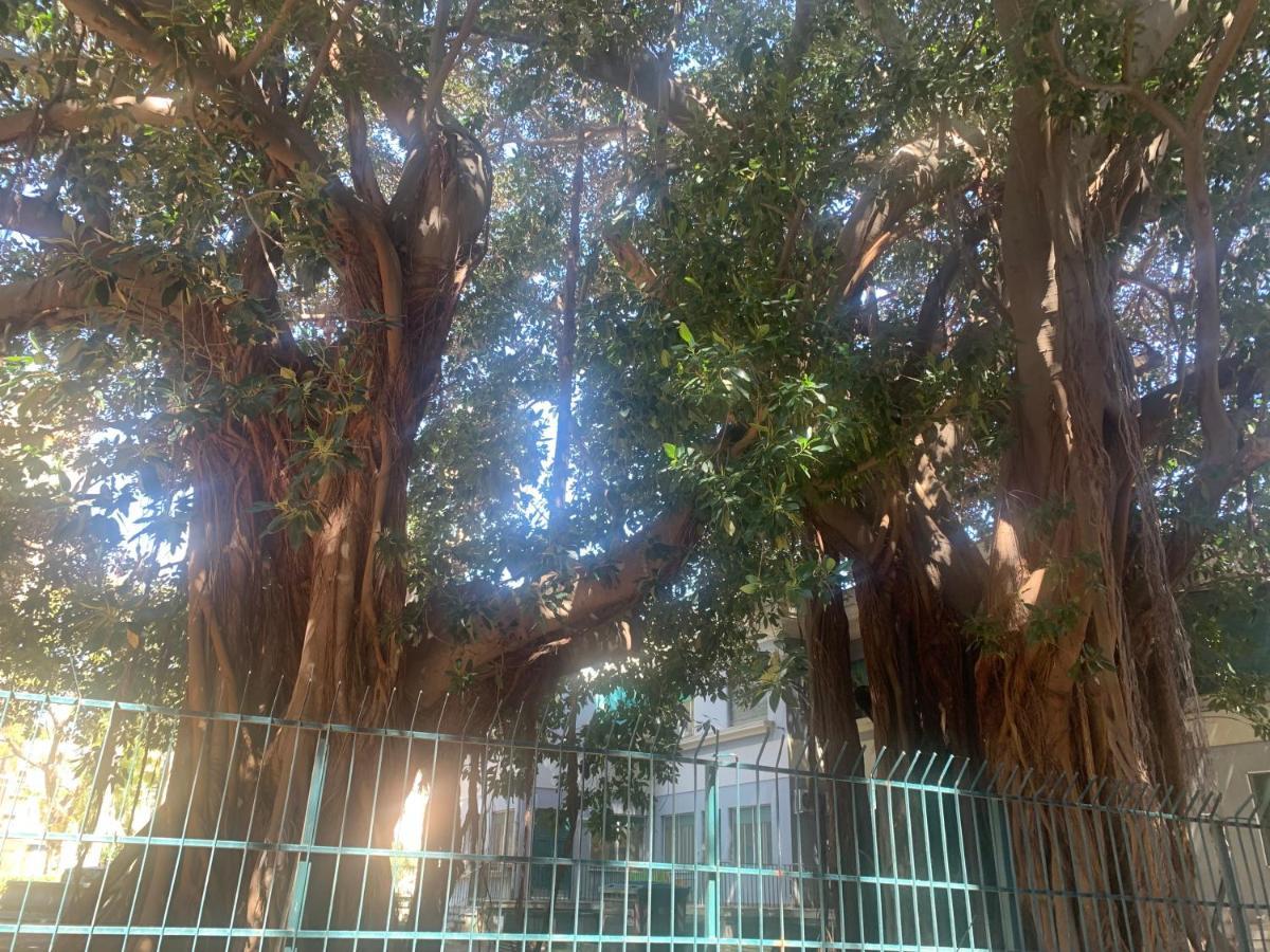 Apartament Casa Raccuglia Palermo Zewnętrze zdjęcie